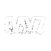 DayZ
